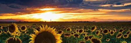 itsbrigreen's profile banner image