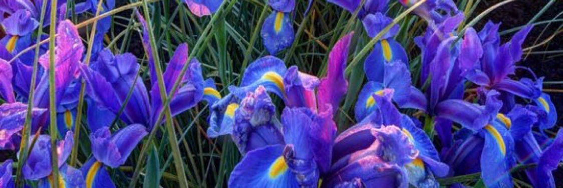 syddo_b's profile banner image