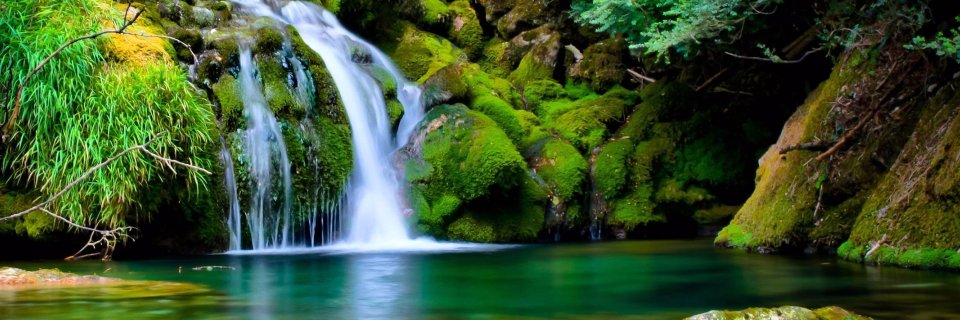 malloryfharris's profile banner image