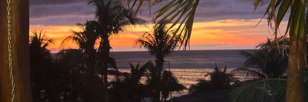 _kittss Profile Banner