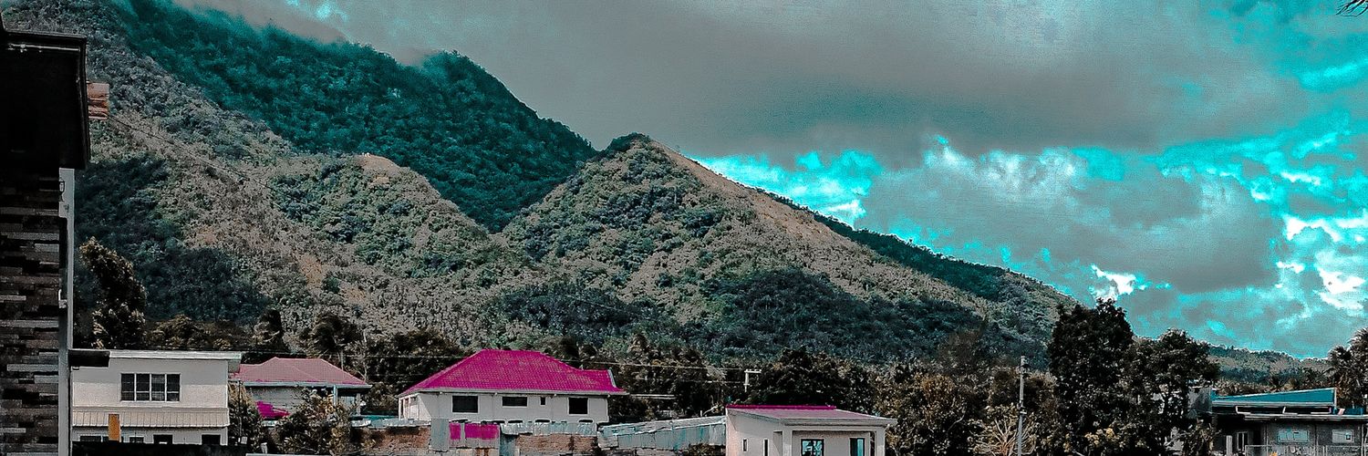 RonVinVargas's profile banner image