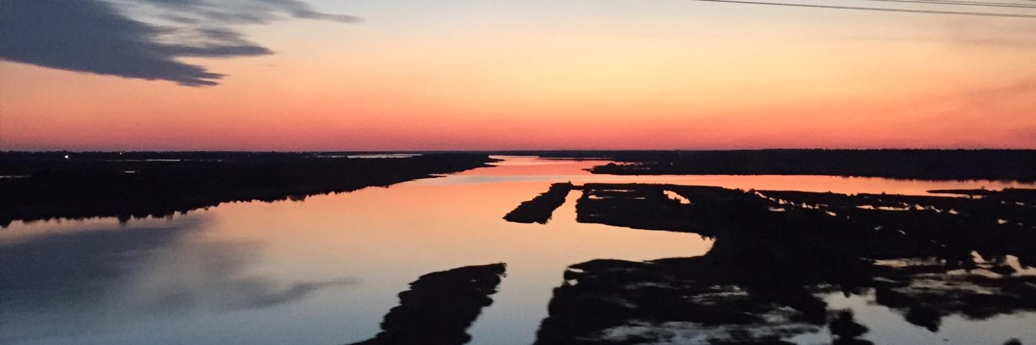 Sarah_Shutt's profile banner image