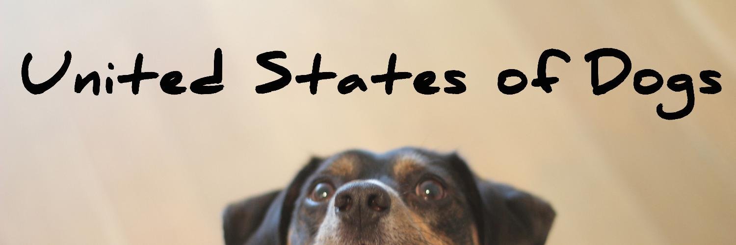 USofDogs's profile banner image