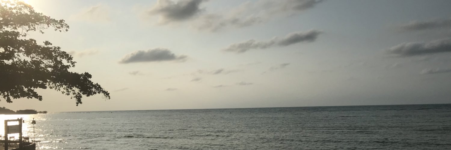Skattznb's profile banner image