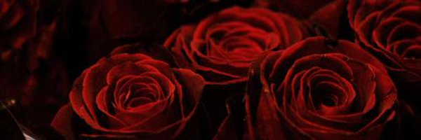 smmustika Profile Banner