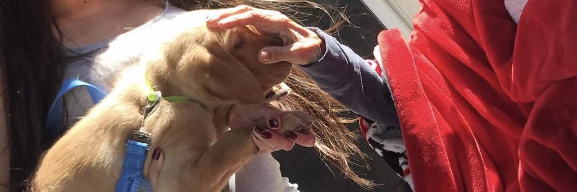 TannaBeaaaar's profile banner image