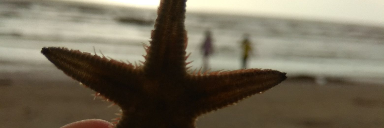 Seeniez's profile banner image
