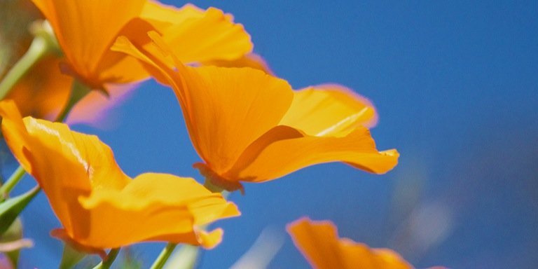 Modi_108_'s profile banner image
