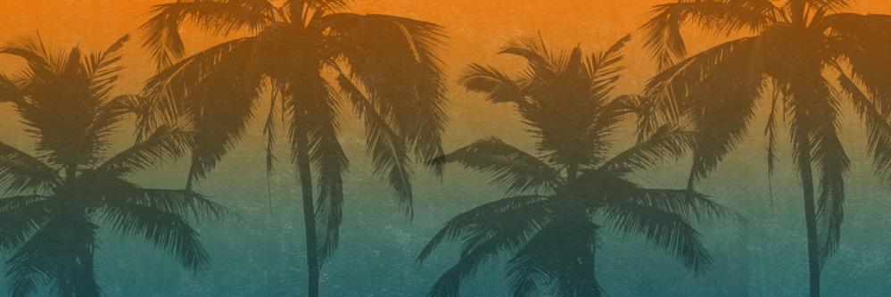 Mobile Dorset banner