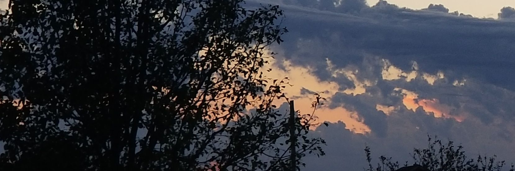 Cheryl Childers banner