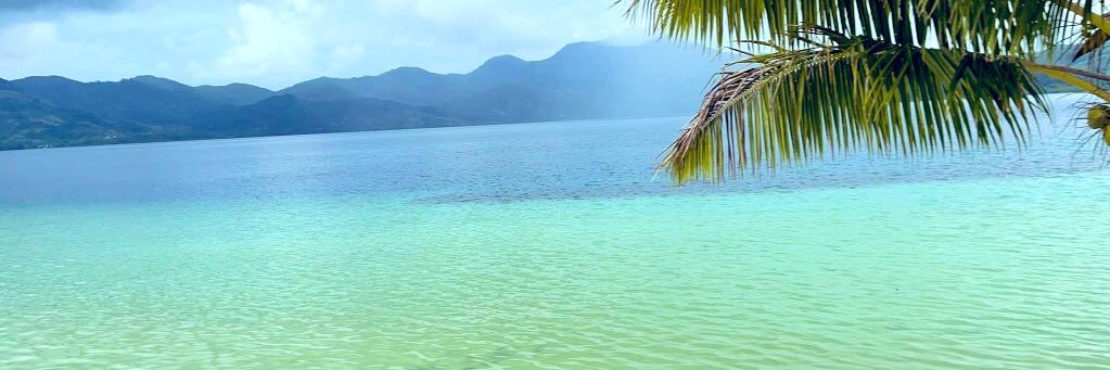 Leba Gaunavinaka banner