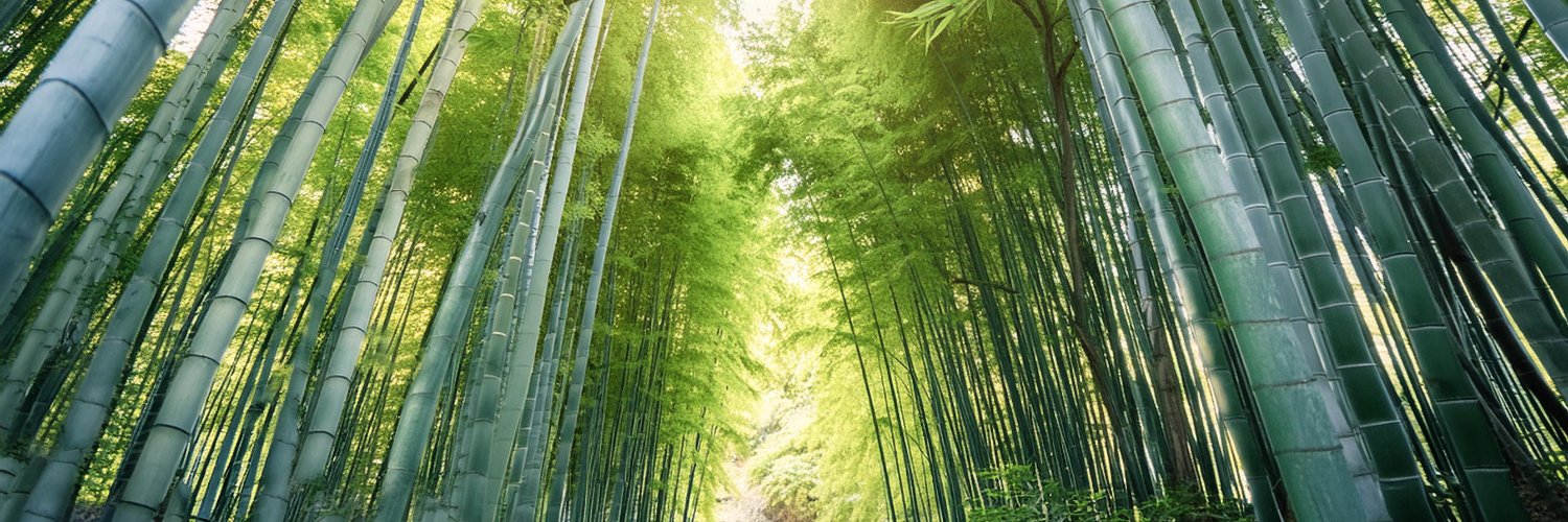 panda_ash19's profile banner image
