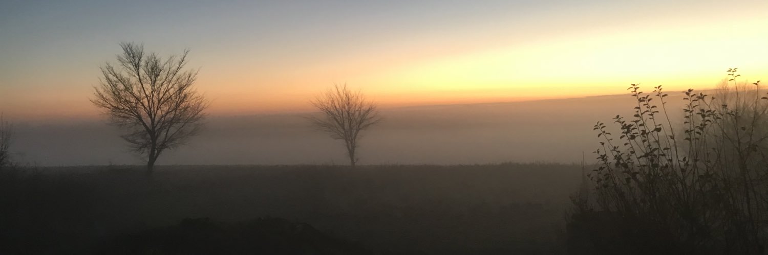 sofiehviid's profile banner image