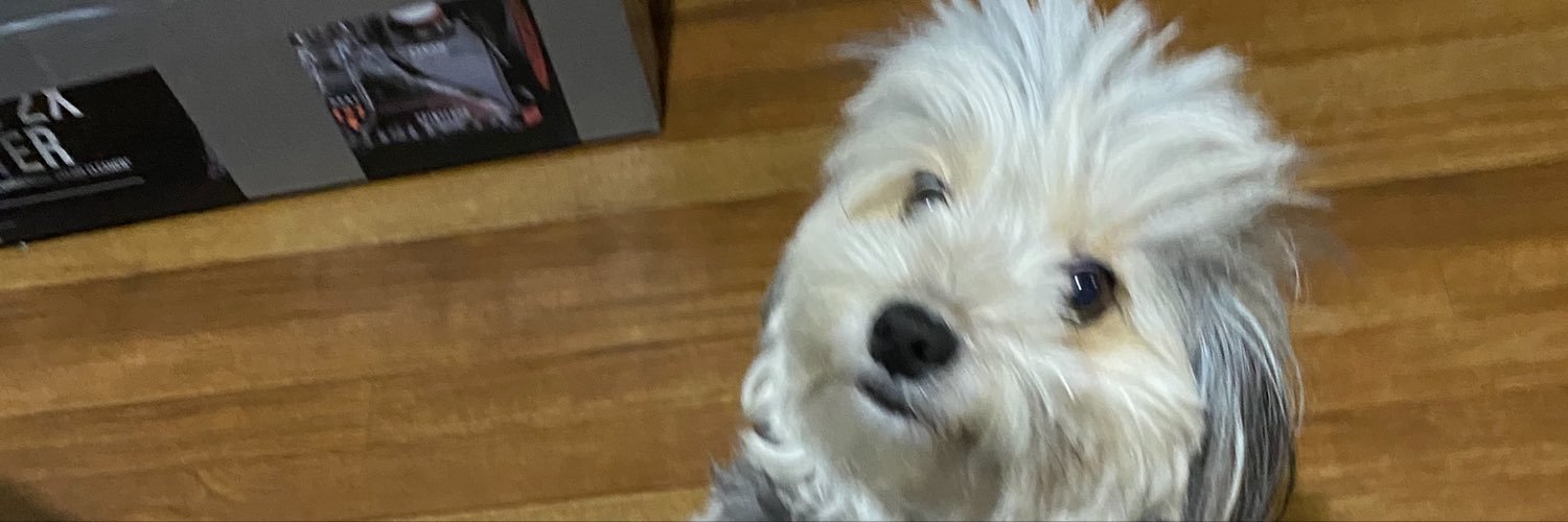 BOTTOMGCJ's profile banner image