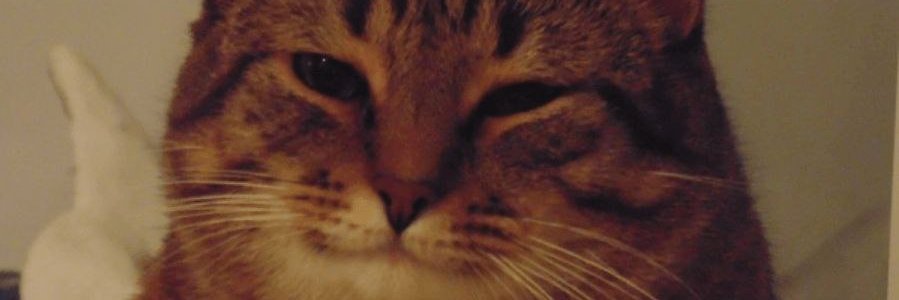 ZakCrane's profile banner image