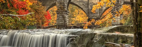 BlessedbyGOD59's profile banner image