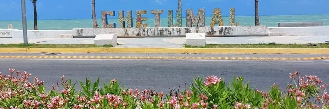 Juan Carlos Pool banner