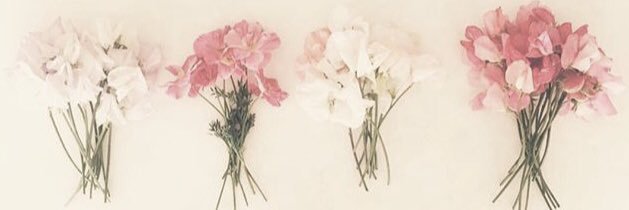 hannmcneil's profile banner image