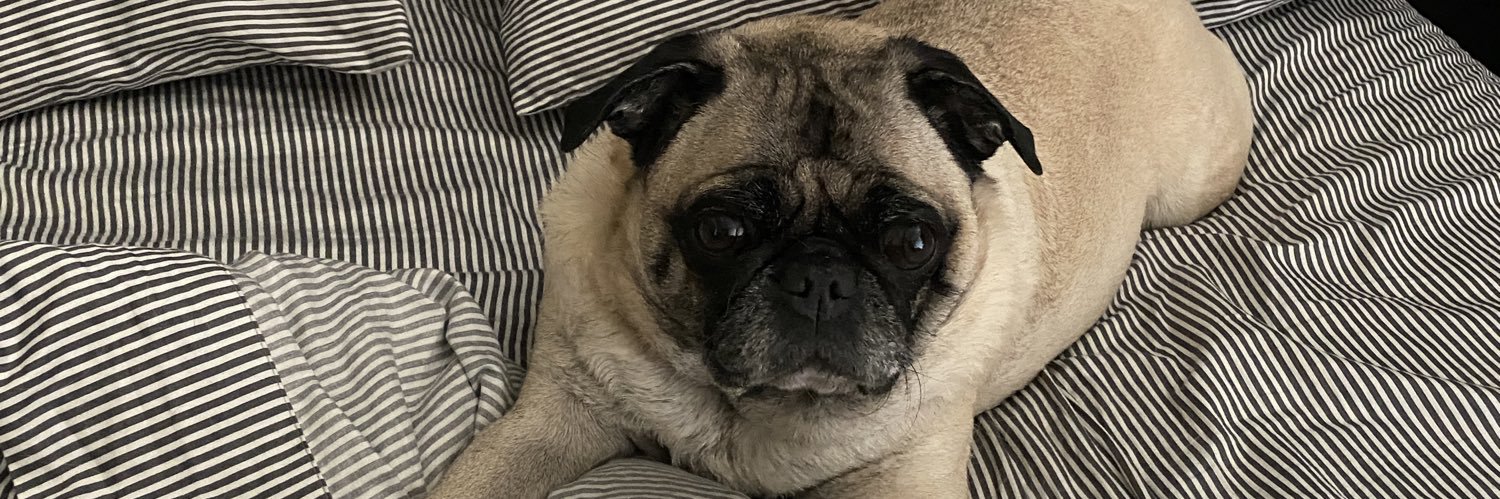 A_Hudge's profile banner image