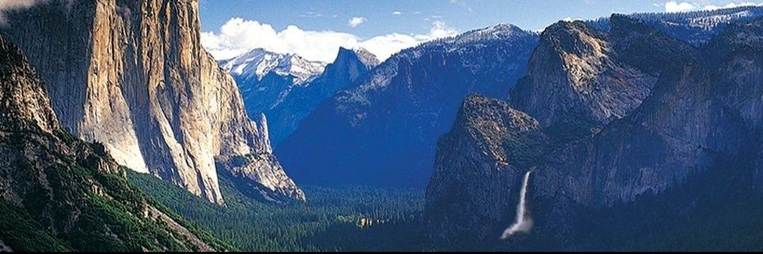 Fanatic Patriot 🇺🇲🇺🇸🇺🇲 banner