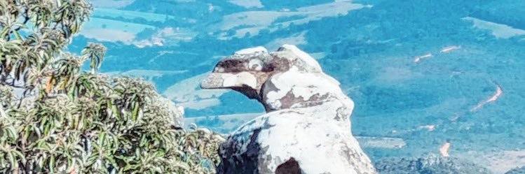 wclcunha's profile banner image