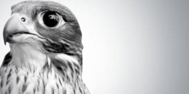 sq__69's profile banner image