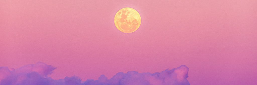 Mackenzie Savage banner