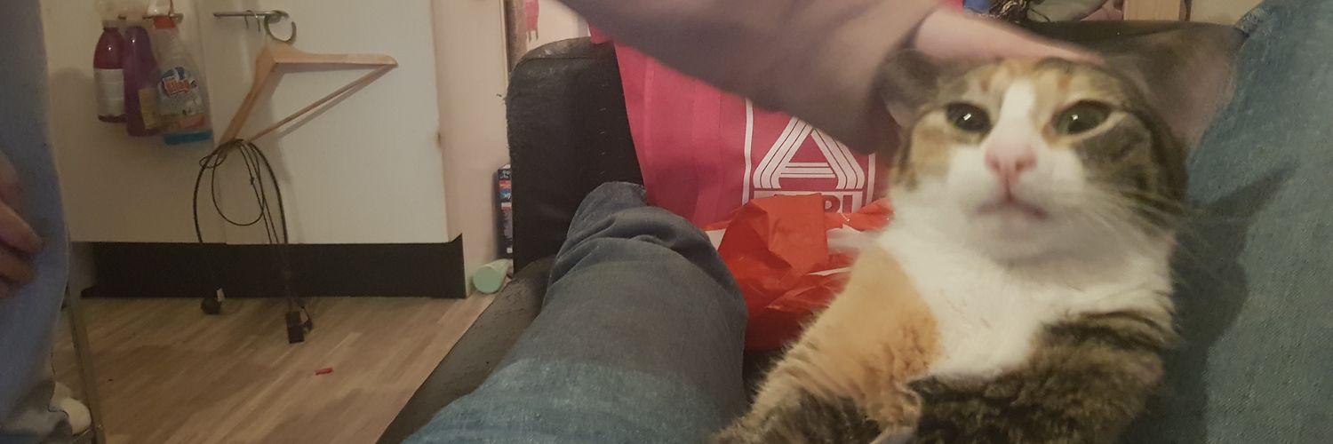 WouterKemper's profile banner image