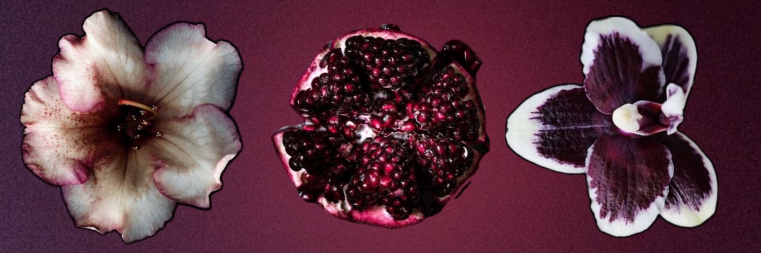 hidefromamber's profile banner image