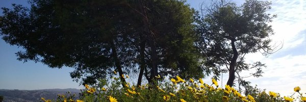_Don_Pelon_ Profile Banner
