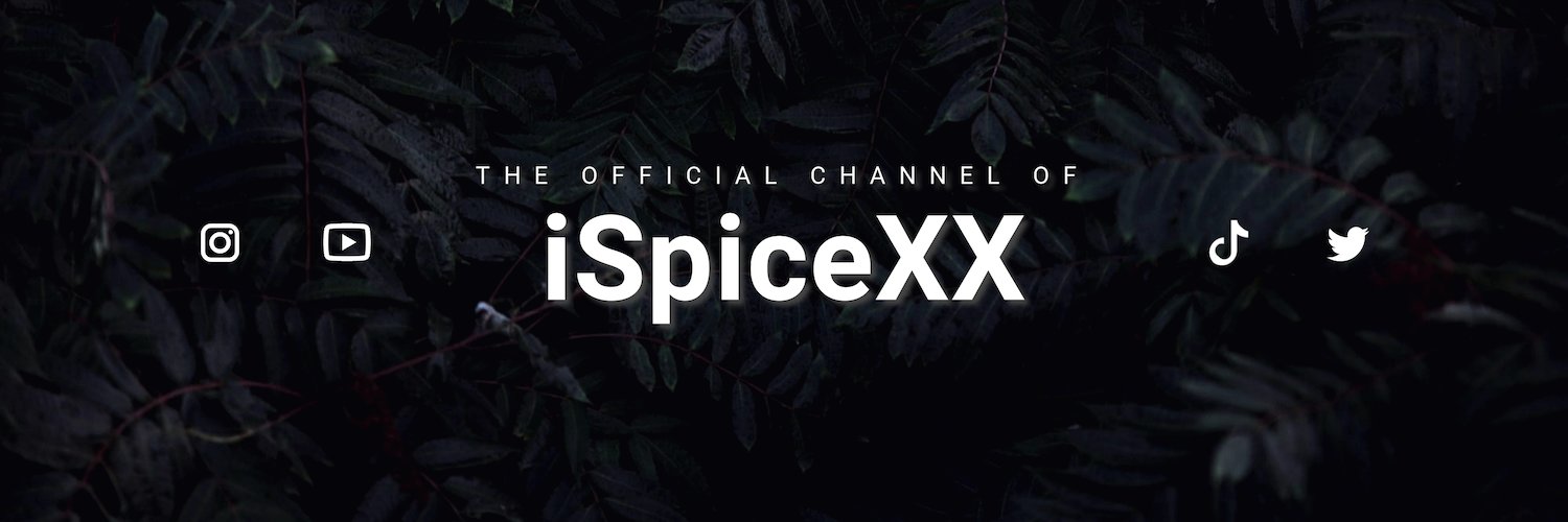 SpiceX_x banner