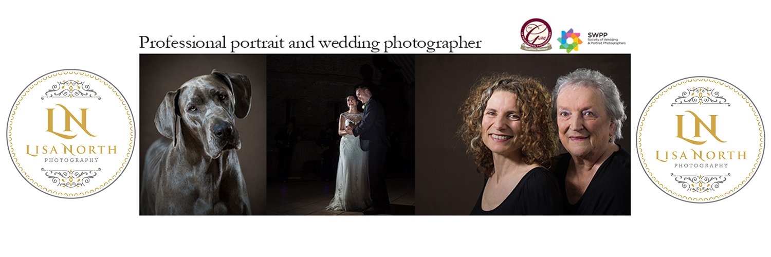 LISA NORTH PHOTO banner