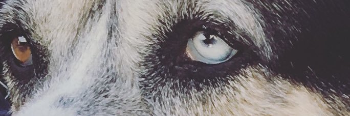 RoxySeba's profile banner image