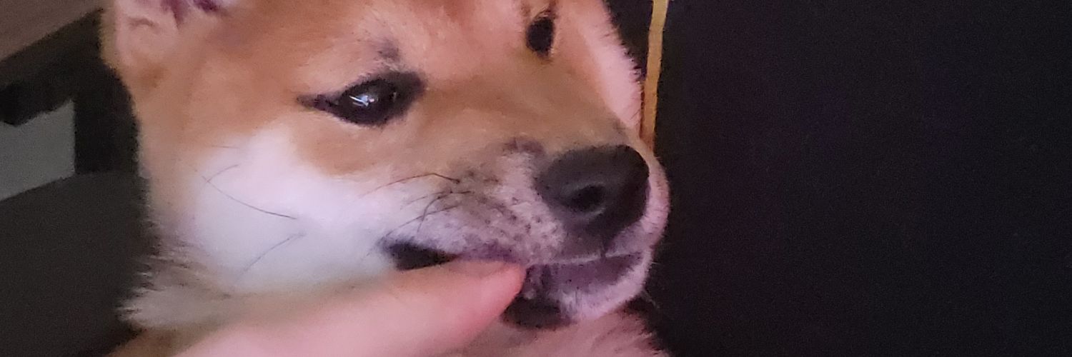 Estusssb's profile banner image