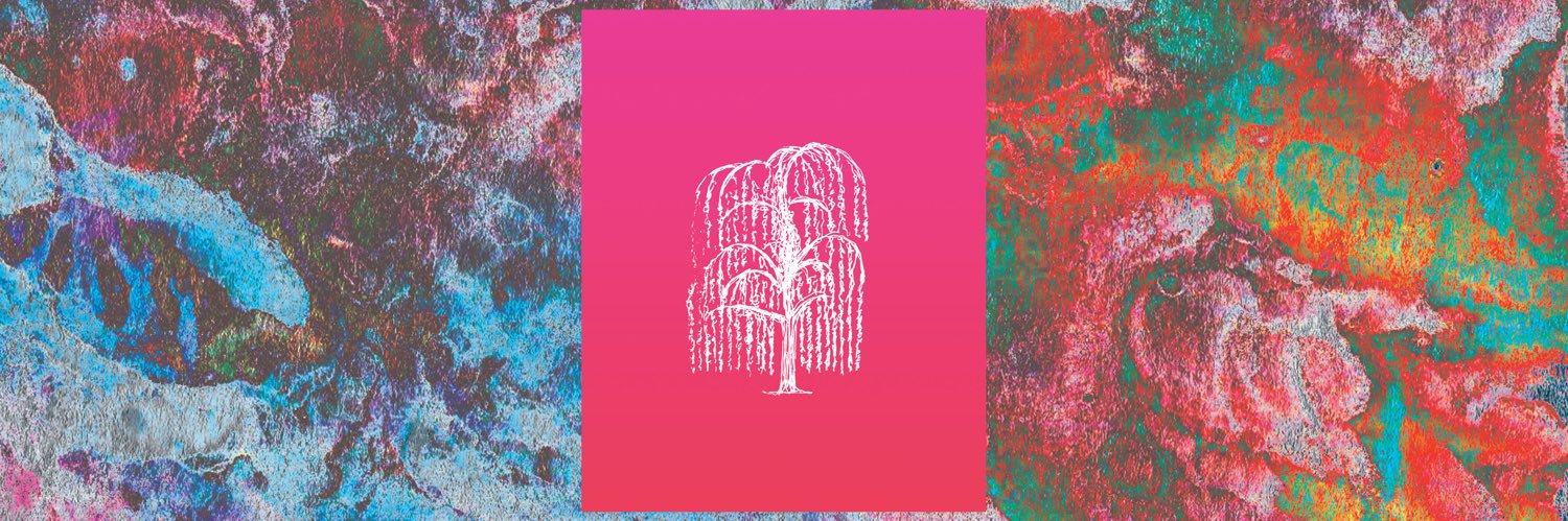 DRUSE banner