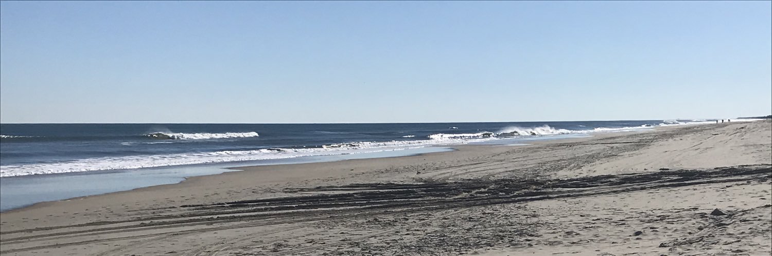 raycarney's profile banner image