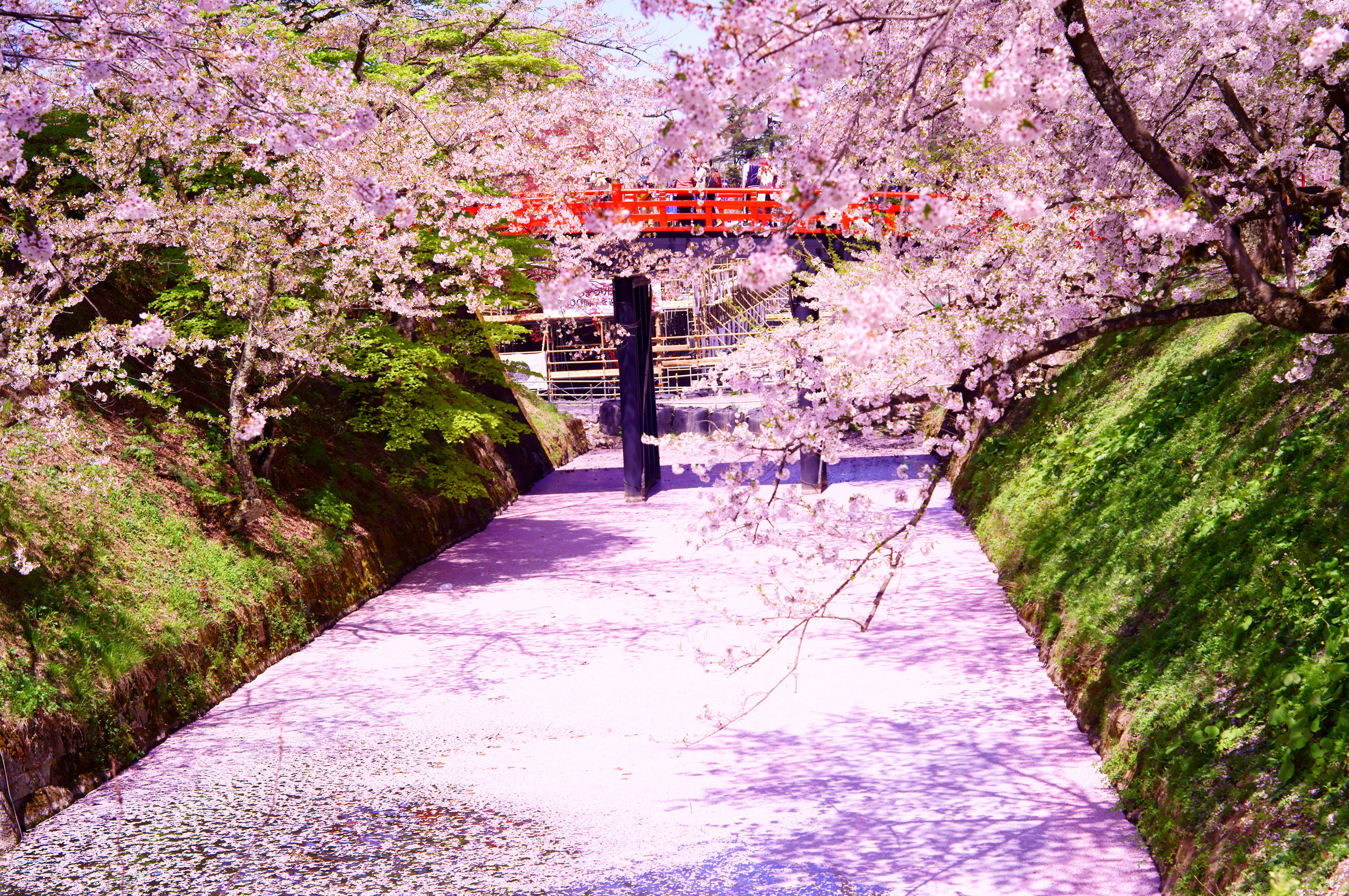 kaz_lain's profile banner image