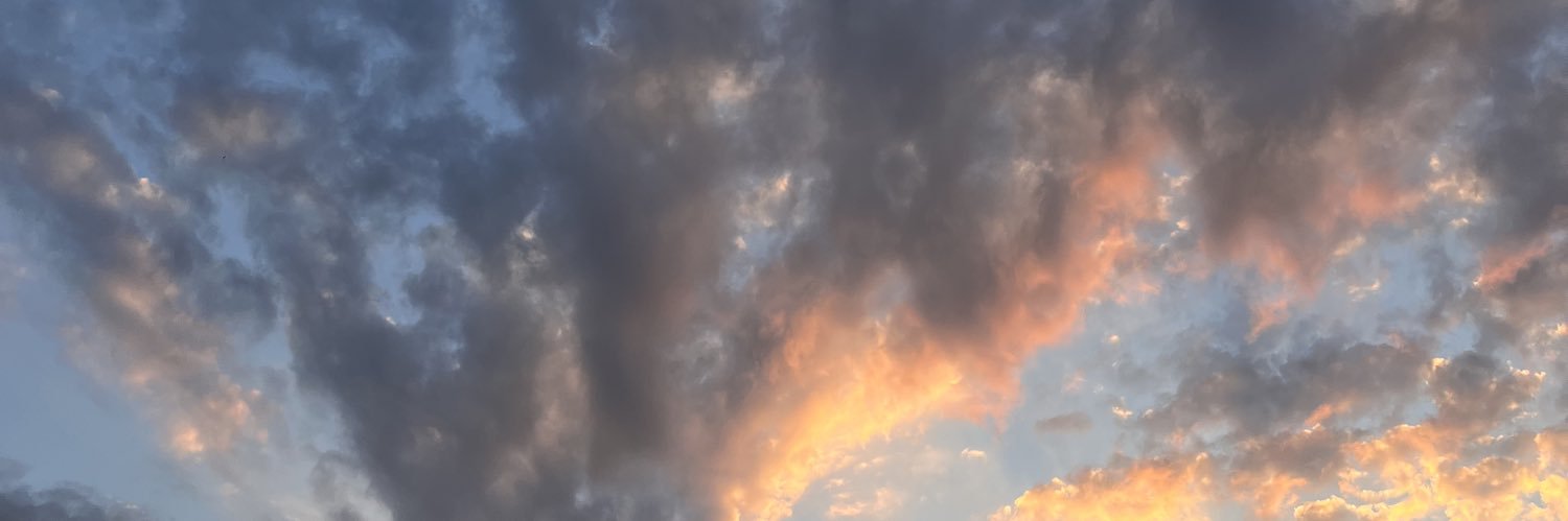 AlejandroAurona's profile banner image