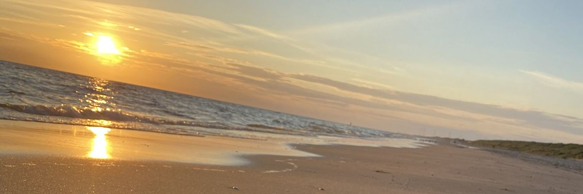 pfkmom's profile banner image