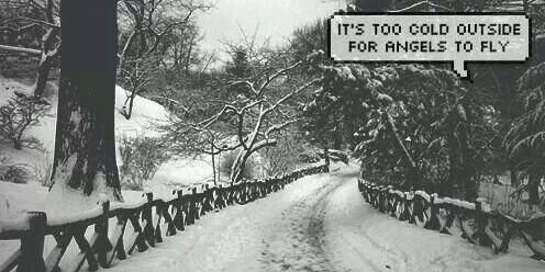 alanaRPGFOC's profile banner image