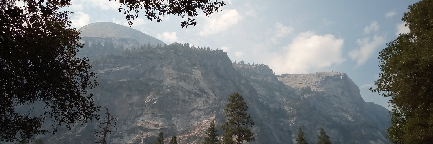 ✨ Amy Farman ✨ banner