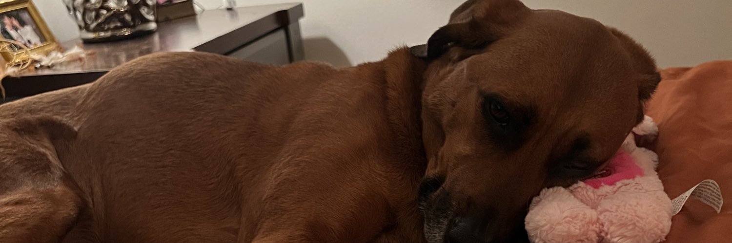 peanutbuttanellytime banner