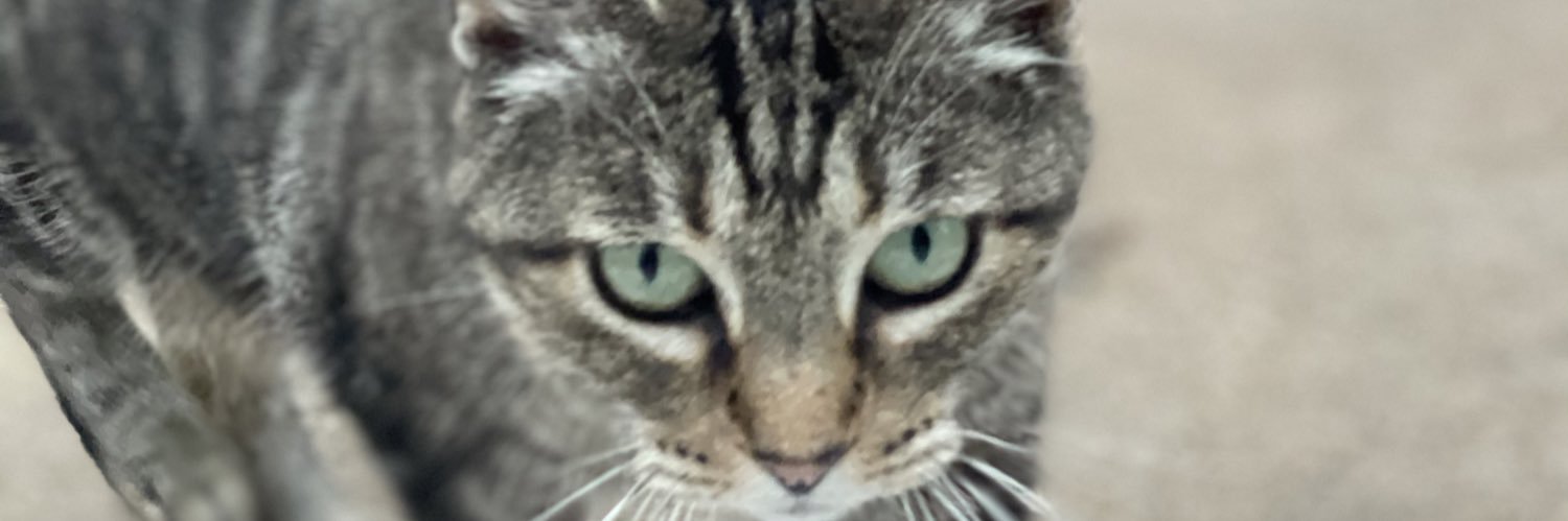 ChristianTrill's profile banner image