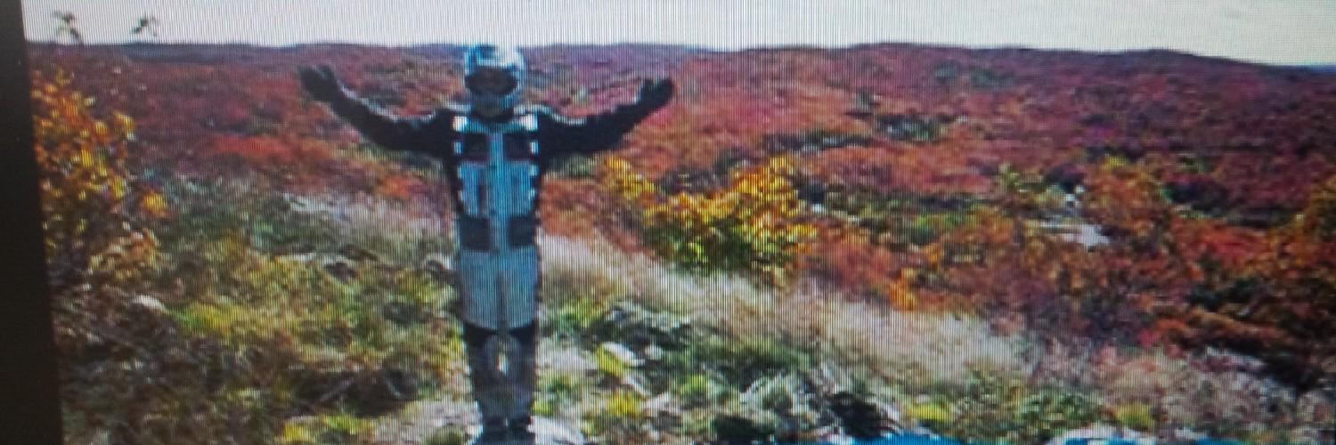 MagpieRelay's profile banner image