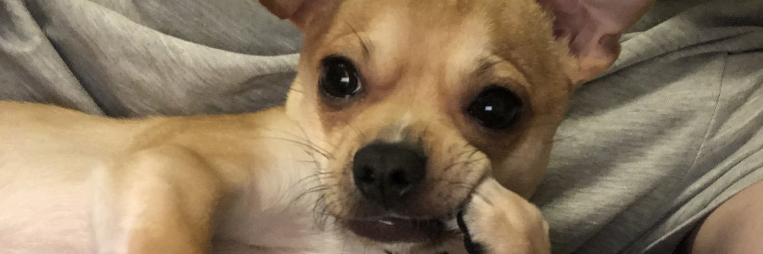 mrdamedame's profile banner image