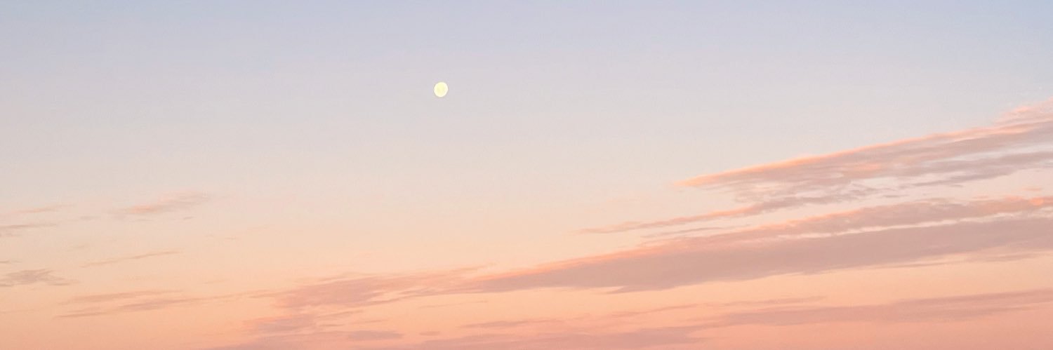 melissatapper's profile banner image