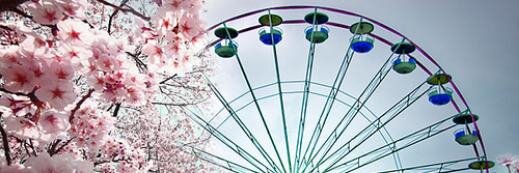 El banner