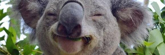 Mozyed's profile banner image