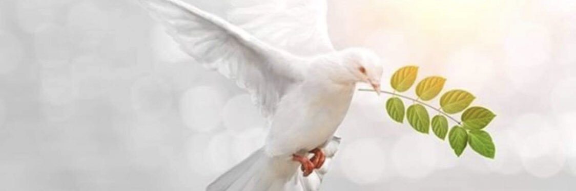 snemmetin's profile banner image