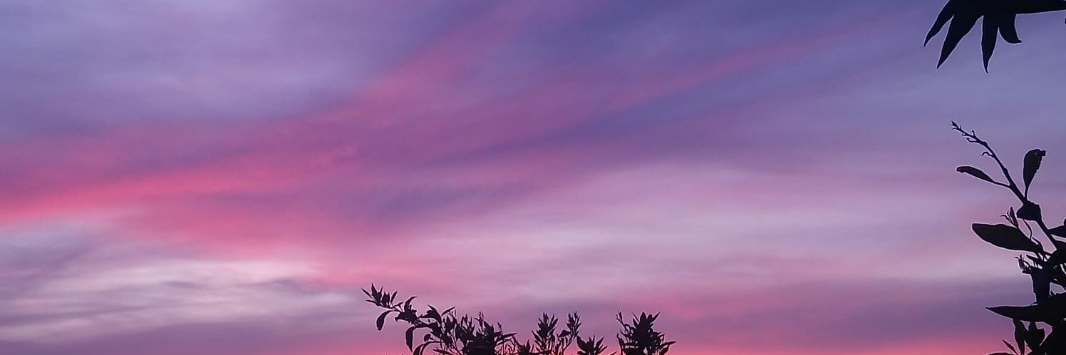 BerilBasogul's profile banner image